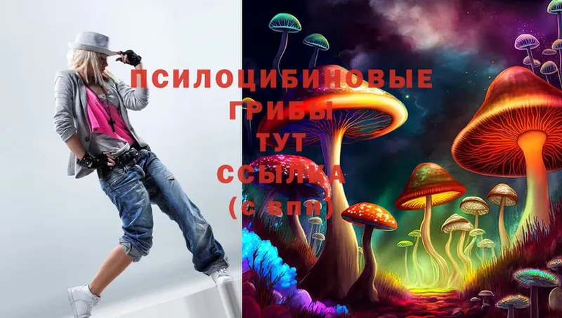 Псилоцибиновые грибы MAGIC MUSHROOMS Югорск